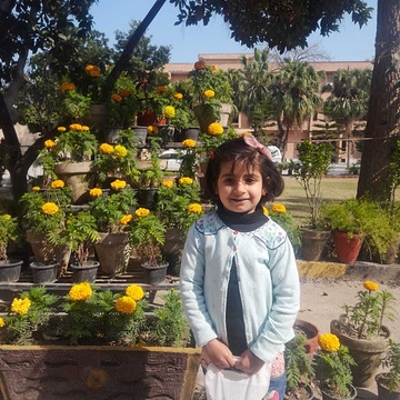Muhammad Suleman