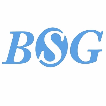 Bsg Group